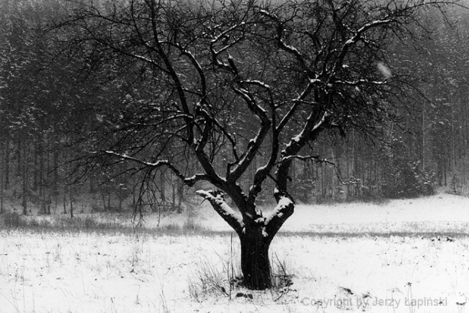 047296, Radoch�w, 1997/02/16