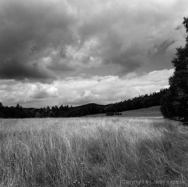 077340, Przelecz Puchacz�wka, 2000/08/09