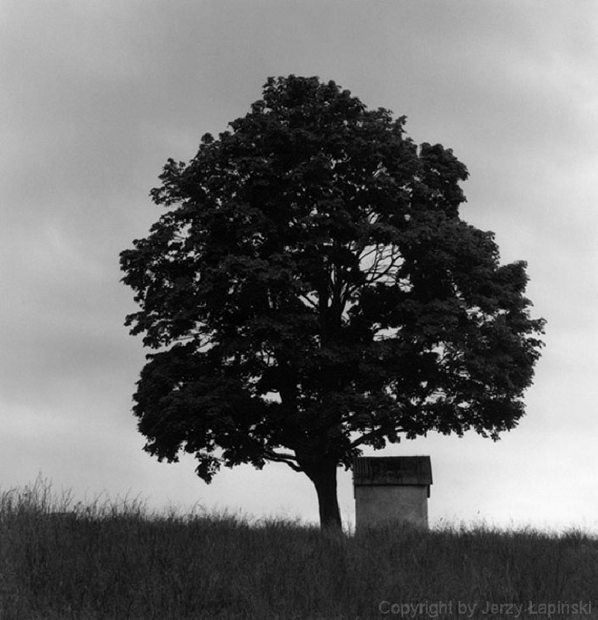 080542, Przelecz Puchacz�wka, 2001/06/16